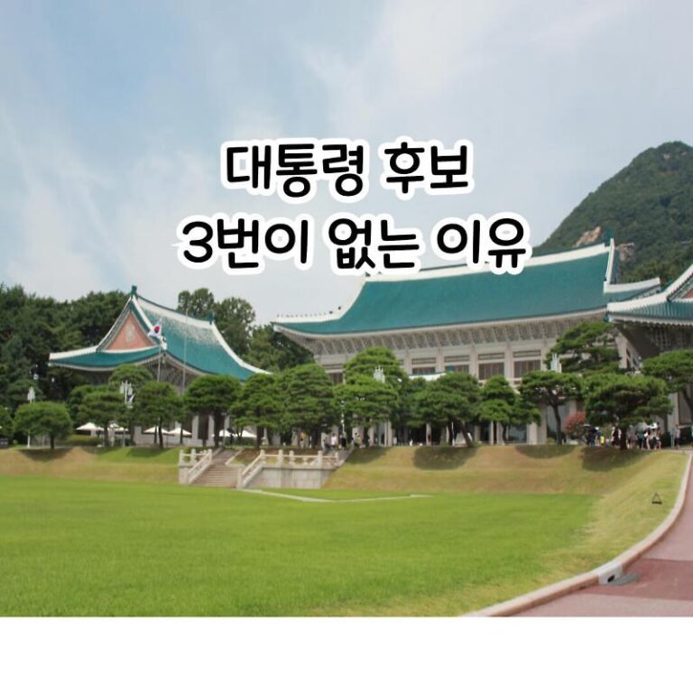 대통령 후보 3번이 없는 이유, 후보자 등록, 재산, 전과, 병역 정보
