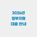 정부지원대출