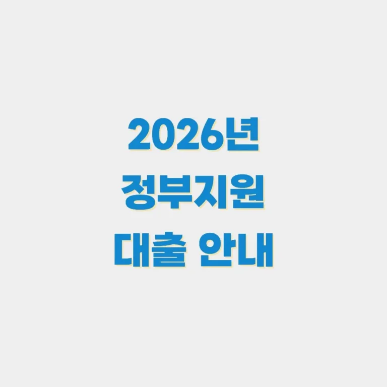 정부지원대출