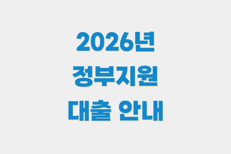 정부지원대출
