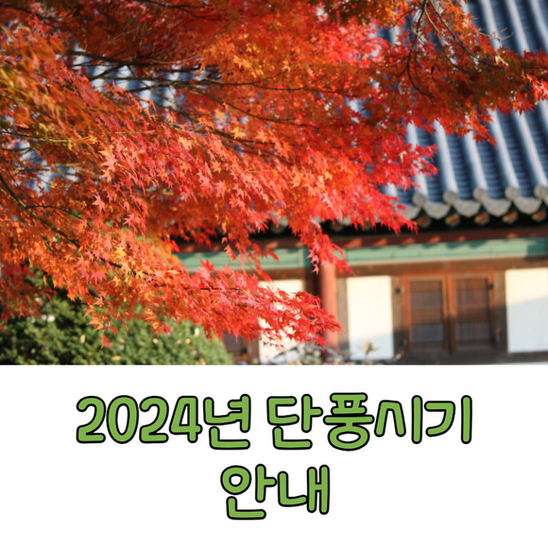 2024년 단풍 예상시기 절정시기 전국 단풍명소 안내