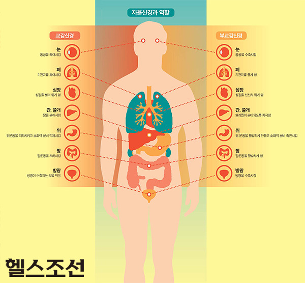 교감신경계 과잉증 (교감신경긴장증)의 원인과 증상 및 치료법