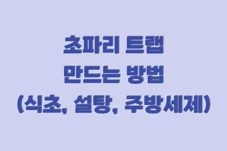 초파리 트랩 수제로 만드는 방법