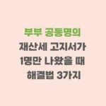 재산세 고지서 1명만 나왔을때