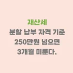 재산세 분할 납부 자격
