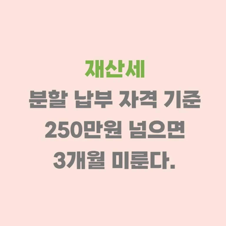 재산세 분할 납부 자격
