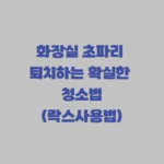 화장실 초파리 퇴치 청소법