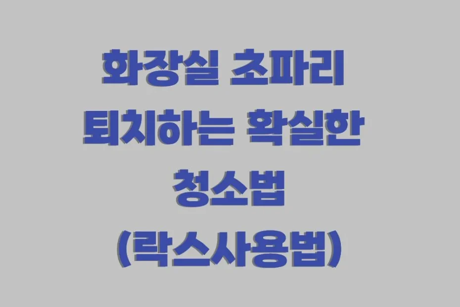 화장실 초파리 퇴치 청소법