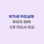 부가세 카드납부 무이자