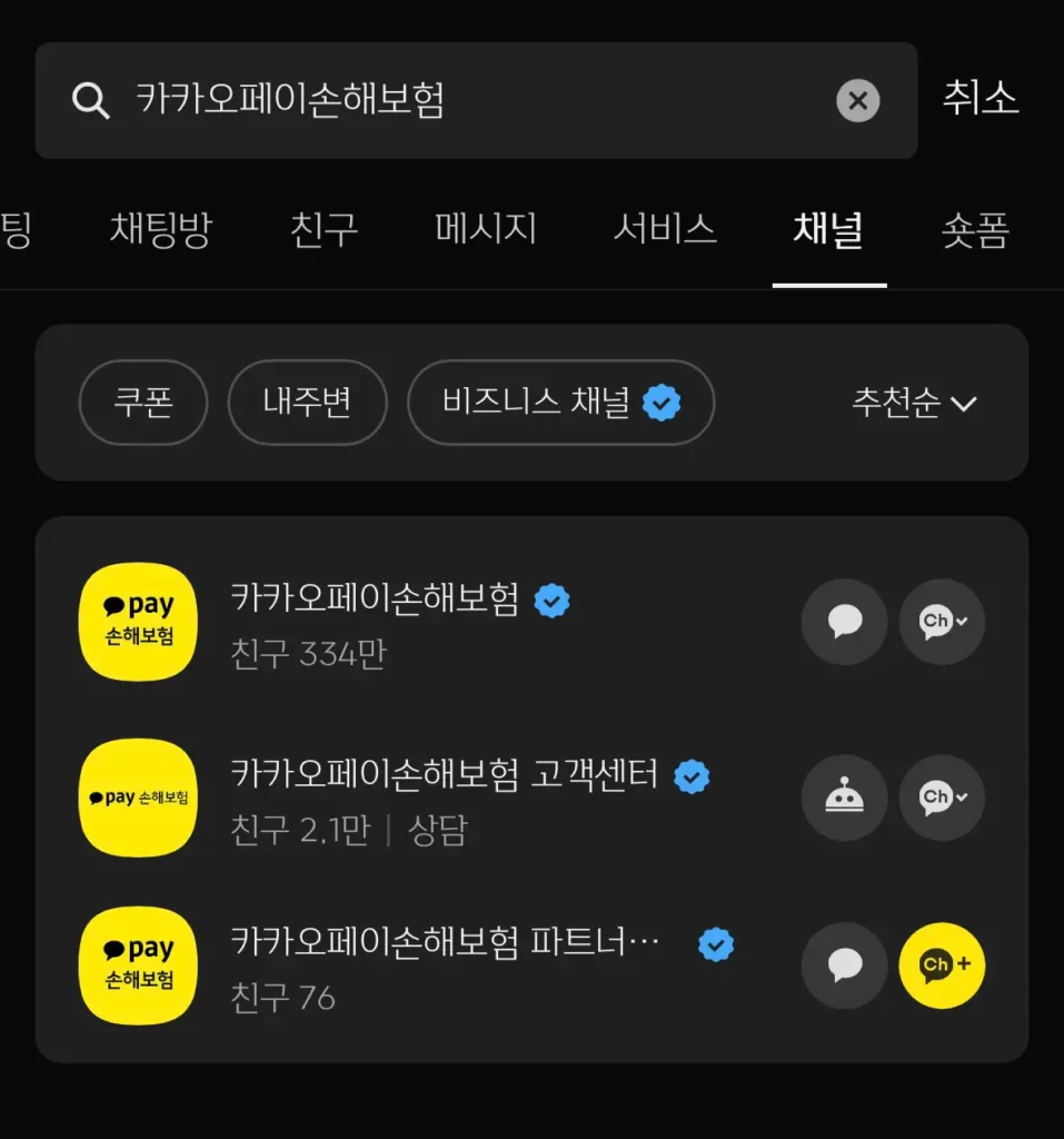 카카오페이 손해보험 카카오톡  채널