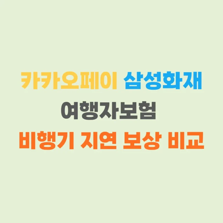 카카오페이 삼성화재 여행자보험 비행기