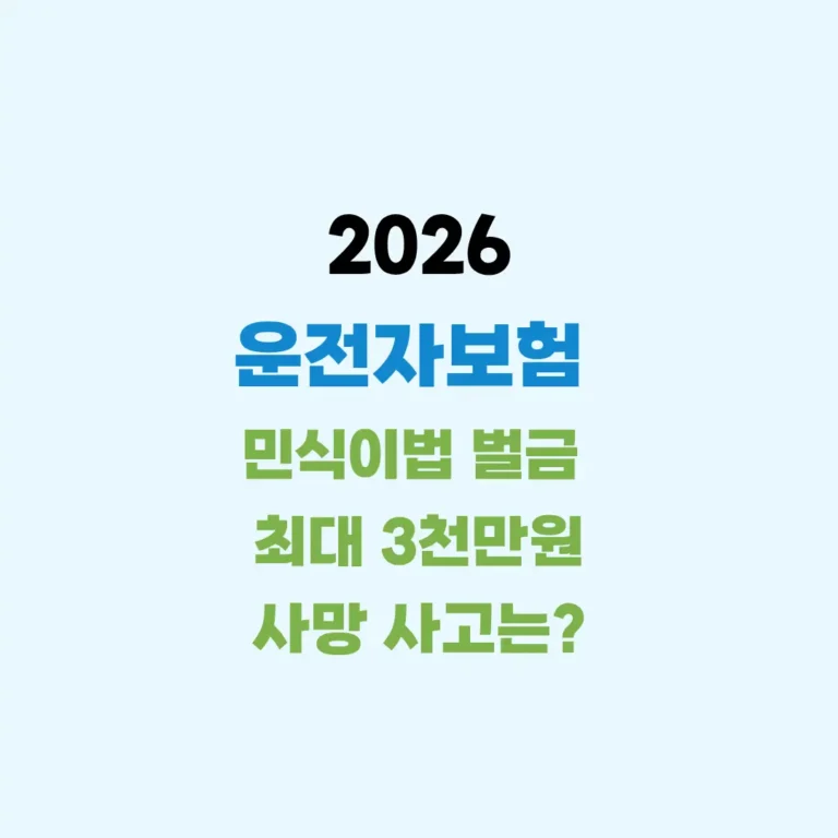 운전자보험 민식이법 벌금