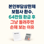 본인부담상한제 보험사 환수 하면 안되는 이유